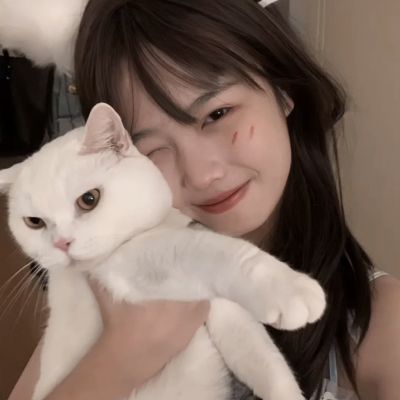 kaiyun·开云手机app下载