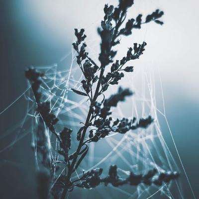 365体育官方唯一入口