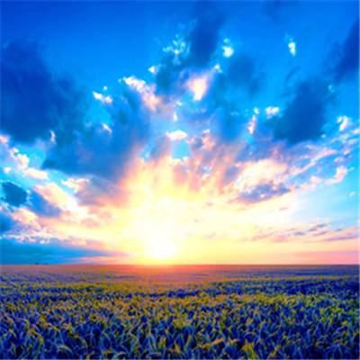 BOB体育登录APP下载