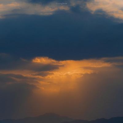 管家婆一码一肖资料app下载