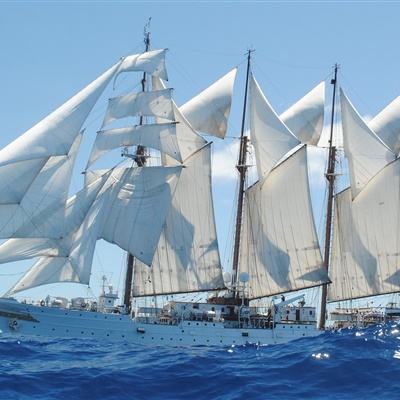 云开官方app下载