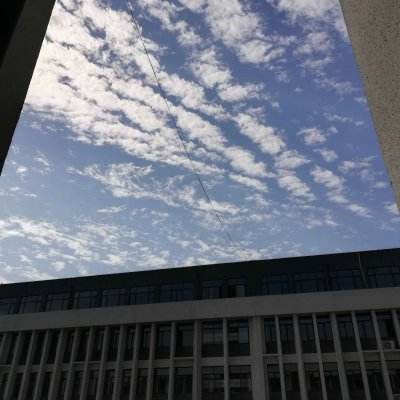 BET9登录APPapp下载